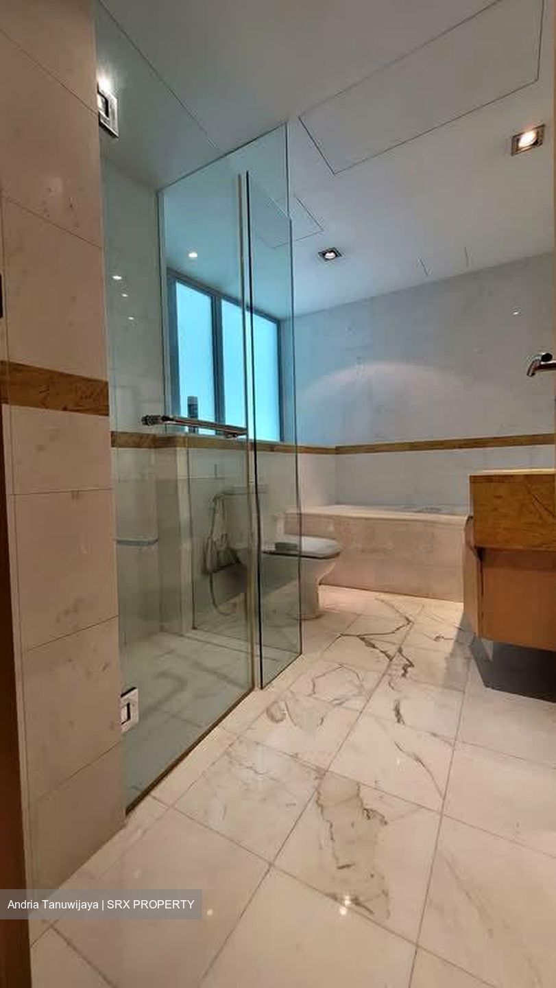 The Light @ Cairnhill (D9), Condominium #554731251
